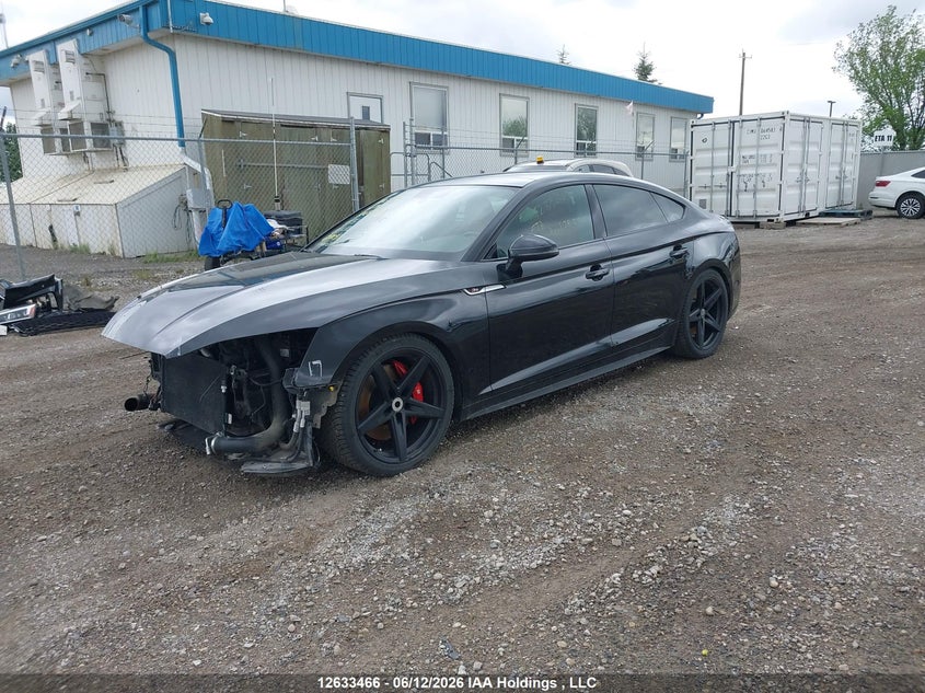 2019 Audi S5 3.0T Technik VIN: WAUC4CF55KA028828 Lot: 12633466