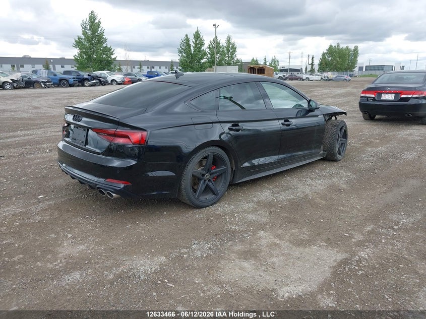 2019 Audi S5 3.0T Technik VIN: WAUC4CF55KA028828 Lot: 12633466