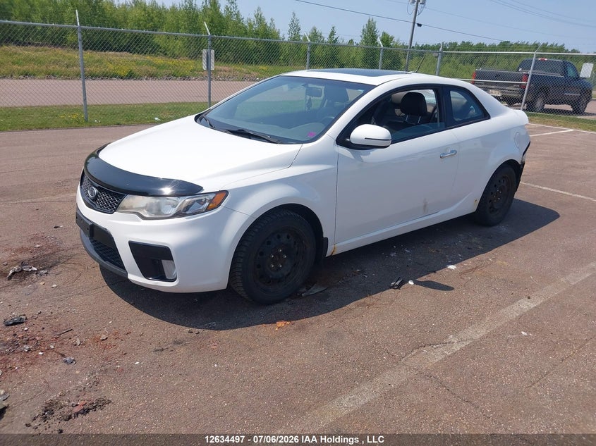2011 Kia Forte, Удар сзади, IAAI, VIN KNAFW6A30B5349845 — фото 2