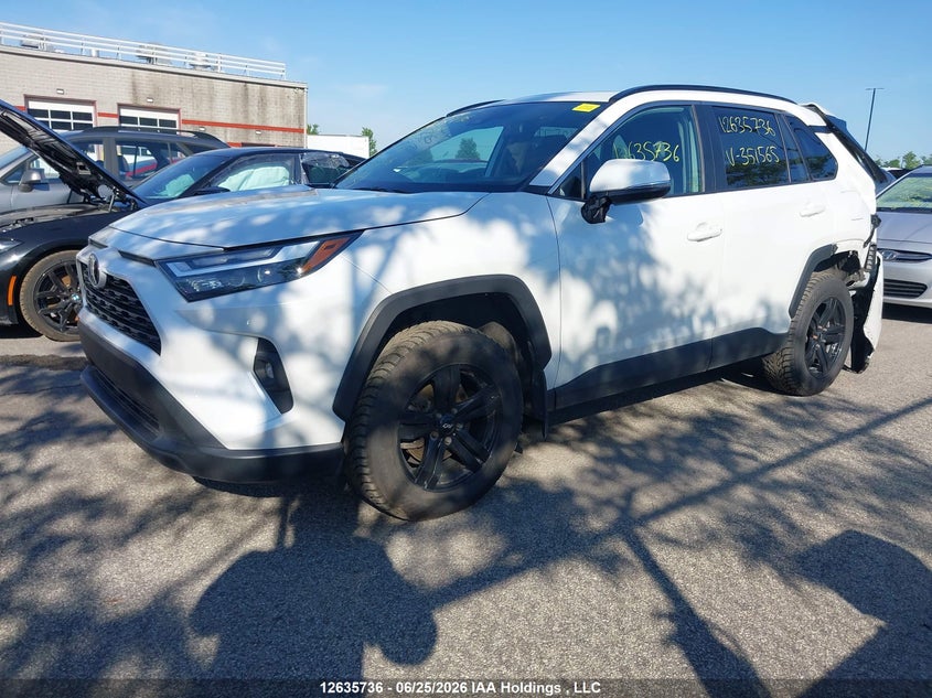 2023 Toyota Rav4 Xle, Rear, IAAI, VIN 2T3R1RFV1PW351565 — photo 2