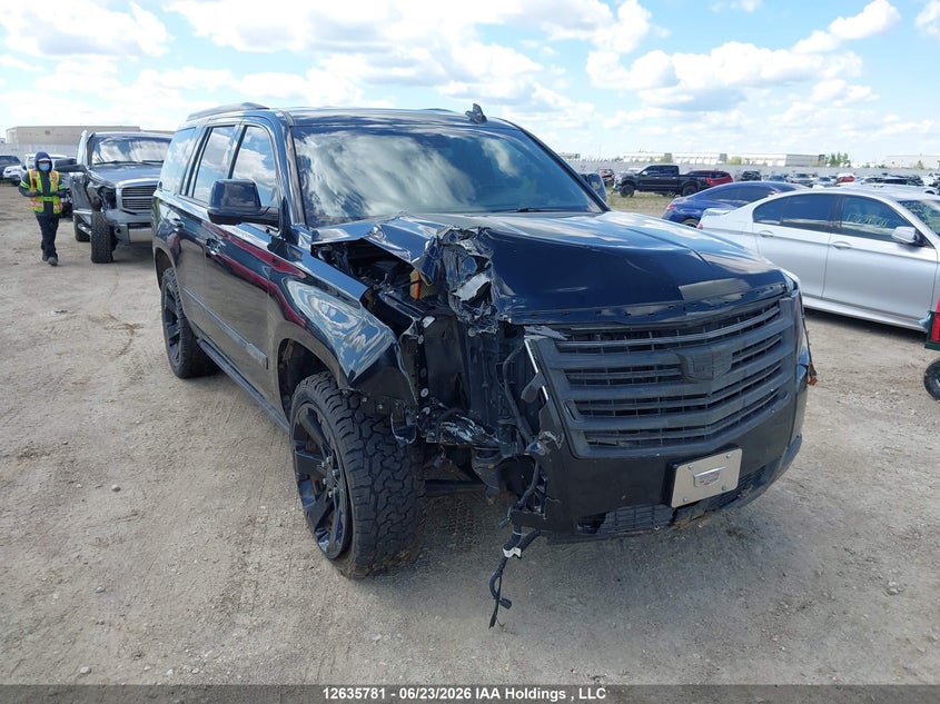 Vin: 1gys4dkj6kr205602, lot: 3036319, cadillac escalade platinum 2019 img_1