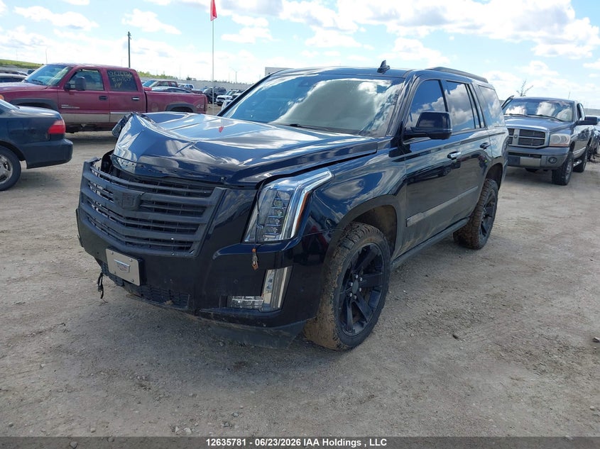Vin: 1gys4dkj6kr205602, lot: 3036319, cadillac escalade platinum 20192