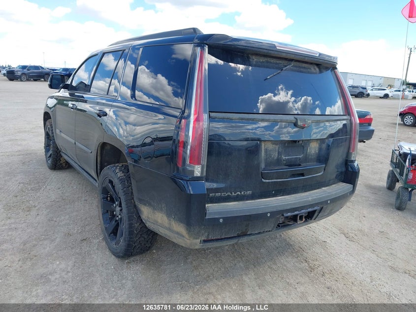 Vin: 1gys4dkj6kr205602, lot: 3036319, cadillac escalade platinum 20193