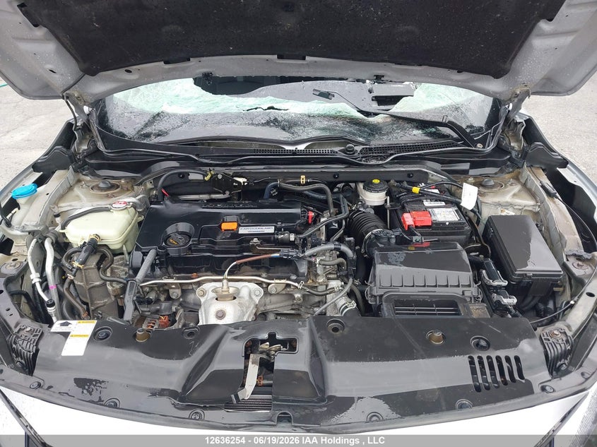 2016 Honda Civic Lx VIN: 2HGFC2F52GH012559 Lot: 12636254