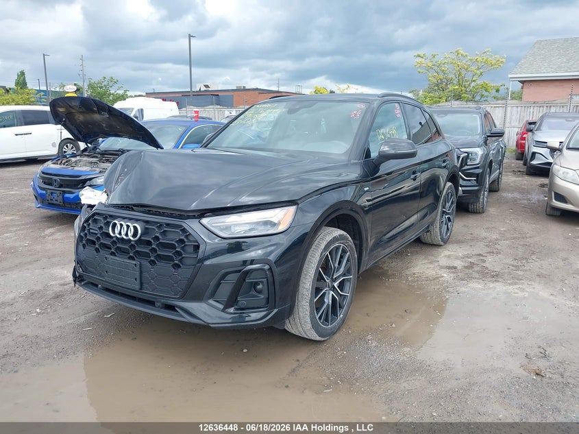 2023 Audi Q5 45 Progressiv VIN: WA1EAAFY9P2169089 Lot: 12636448