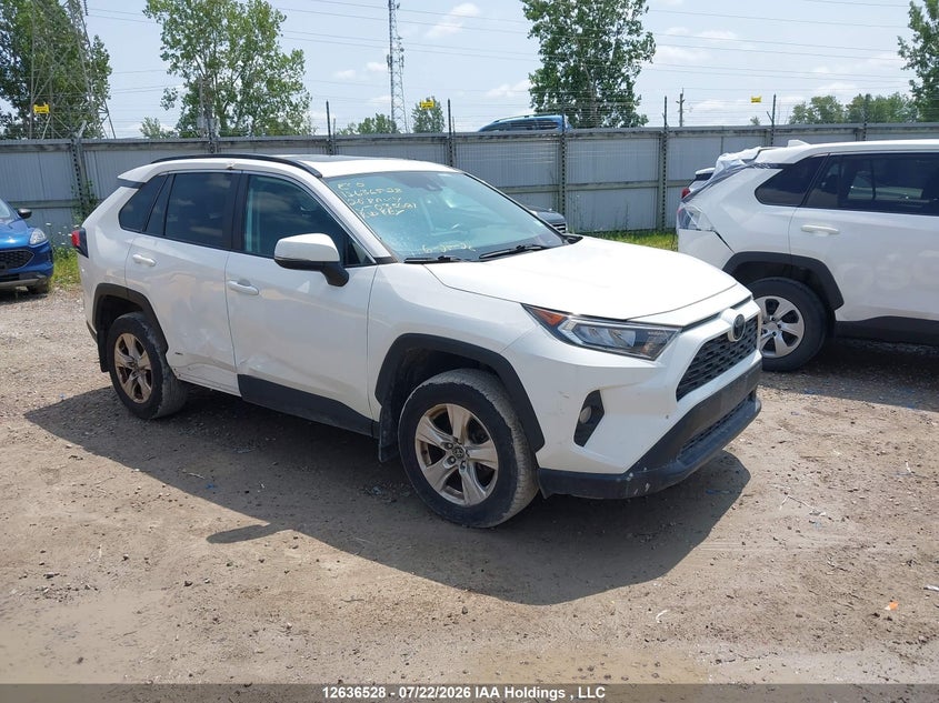Vin: 2t3w1rfv4lc033681, lot: 3037122, toyota rav4 xle 2020 img_1