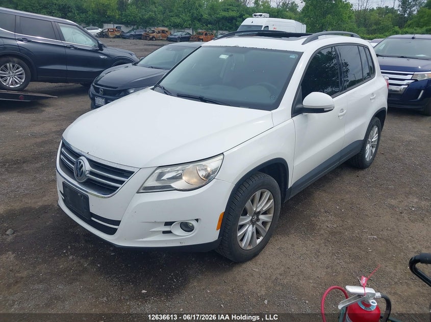 2011 Volkswagen Tiguan S/Se/Sel, Дах, IAAI, VIN WVGBV7AX9BW536651 — фото 2
