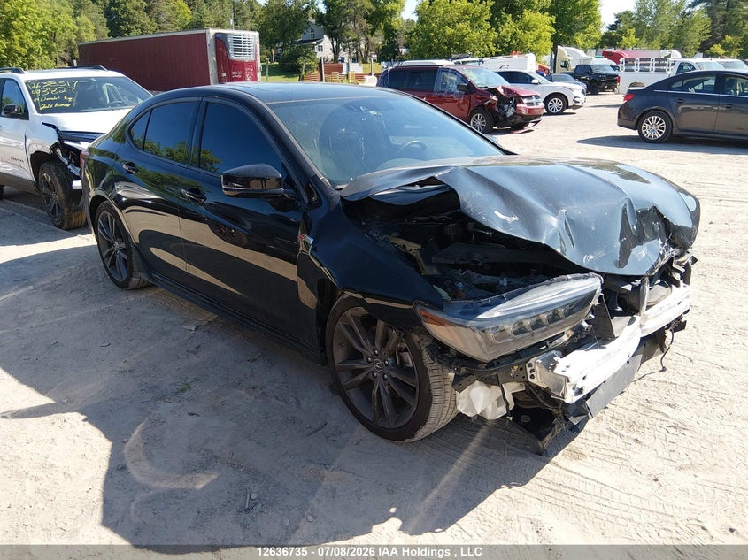 2019 ACURA TLX TECH A-SPEC