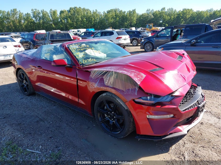 1FATP8UH6J5173362 FORD MUSTANG Photo 1