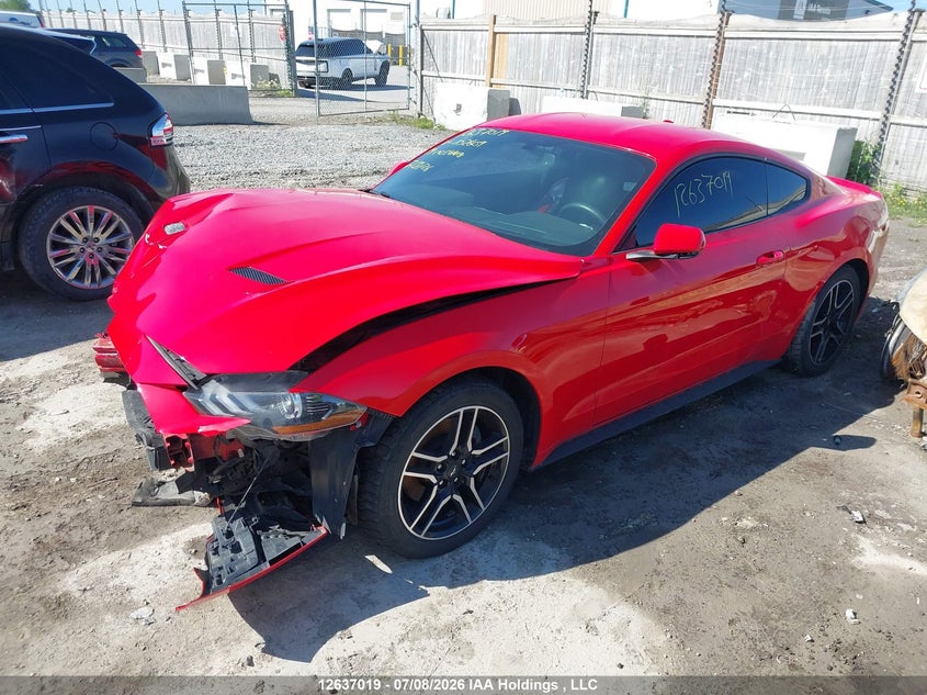 Vin: 1fa6p8th0k5102609, lot: 3037668, ford mustang ecoboost/ecoboost premium 20192