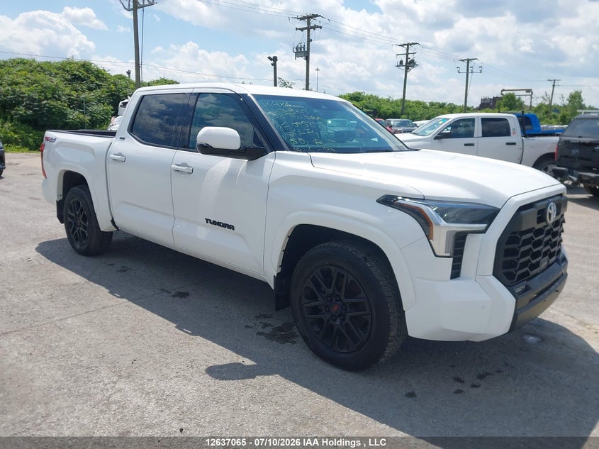 2023 Toyota Tundra Sr, Викрадення, IAAI, VIN 5TFLA5DB8PX095895