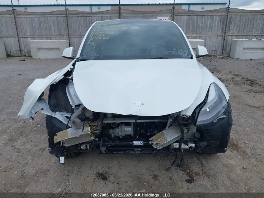 2023 Tesla Model Y VIN: 7SAYGAEE6PF645856 Lot: 12637085