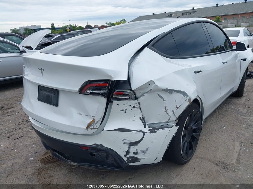 2023 Tesla Model Y VIN: 7SAYGAEE6PF645856 Lot: 12637085