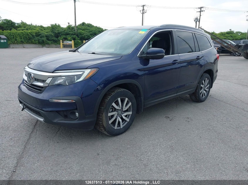 2021 Honda Pilot, Right Side, IAAI, VIN 5FNYF6H73MB500831 — photo 2