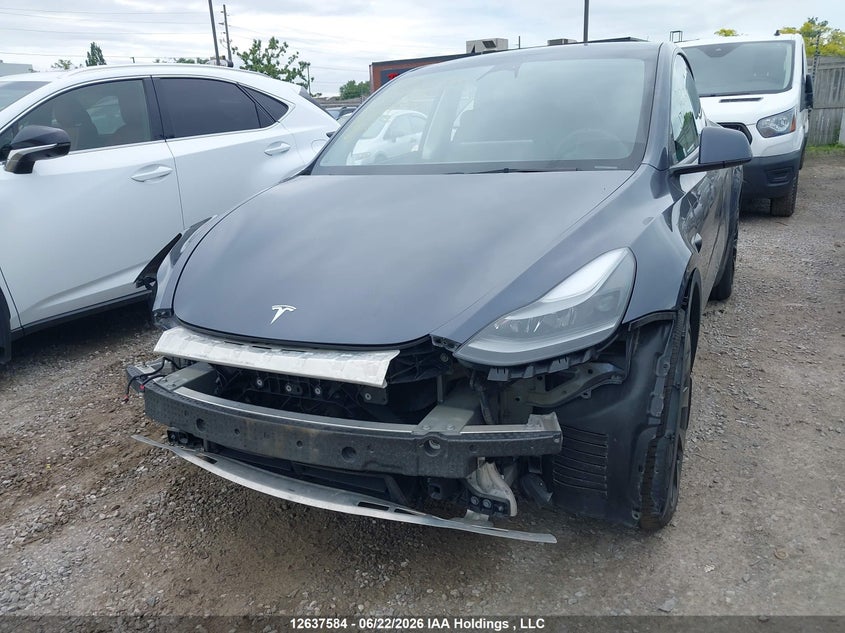 2023 Tesla Model Y, Right Side, IAAI, VIN 7SAYGAEE0PF593527 — photo 2