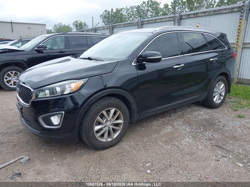 2016 Kia Sorento, Удар сзади, IAAI, VIN 5XYPG4A13GG013144 — фото 2