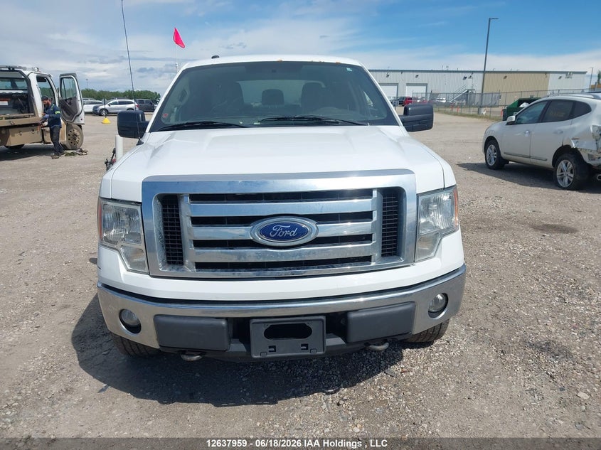 2012 Ford F-150 Fx4/King Ranch/Lariat/Platinum/Xlt VIN: 1FTFW1EFXCFB46533 Lot: 12637959