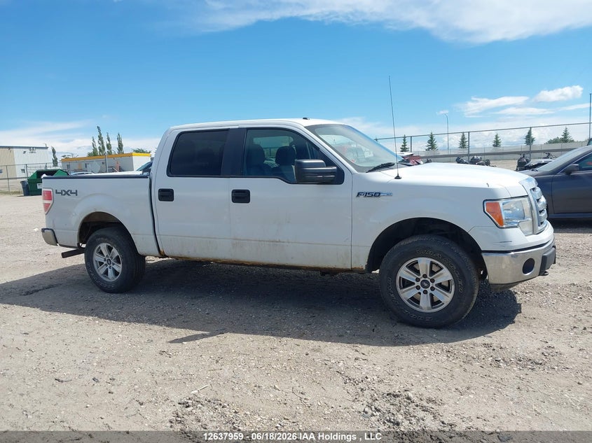2012 Ford F-150 Fx4/King Ranch/Lariat/Platinum/Xlt VIN: 1FTFW1EFXCFB46533 Lot: 12637959
