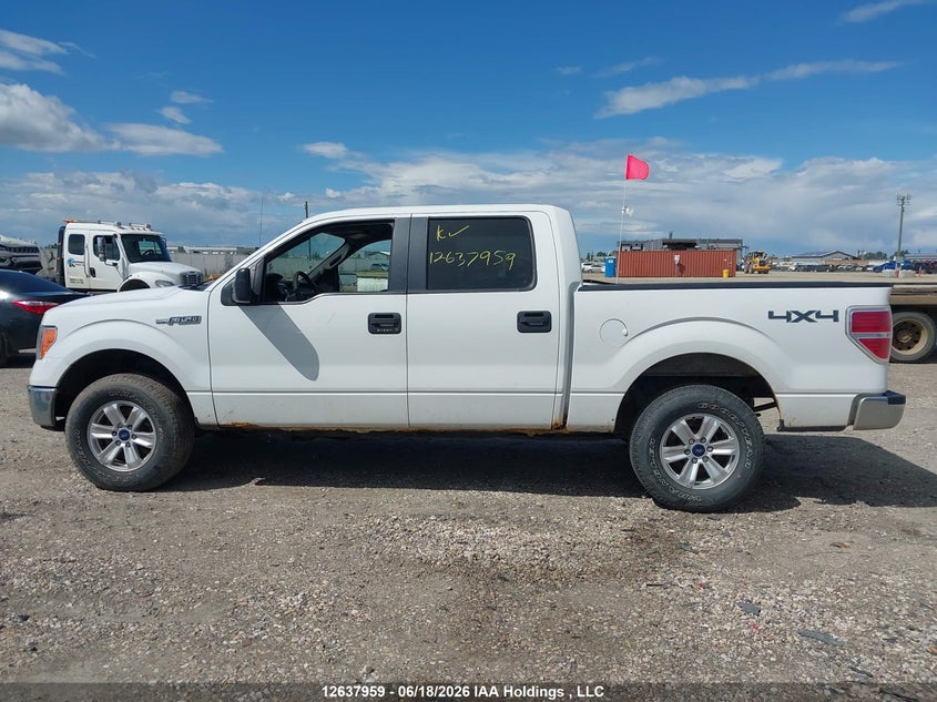 2012 Ford F-150 Fx4/King Ranch/Lariat/Platinum/Xlt VIN: 1FTFW1EFXCFB46533 Lot: 12637959