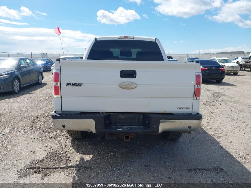 2012 Ford F-150 Fx4/King Ranch/Lariat/Platinum/Xlt VIN: 1FTFW1EFXCFB46533 Lot: 12637959