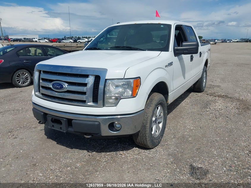 2012 Ford F-150 Fx4/King Ranch/Lariat/Platinum/Xlt VIN: 1FTFW1EFXCFB46533 Lot: 12637959