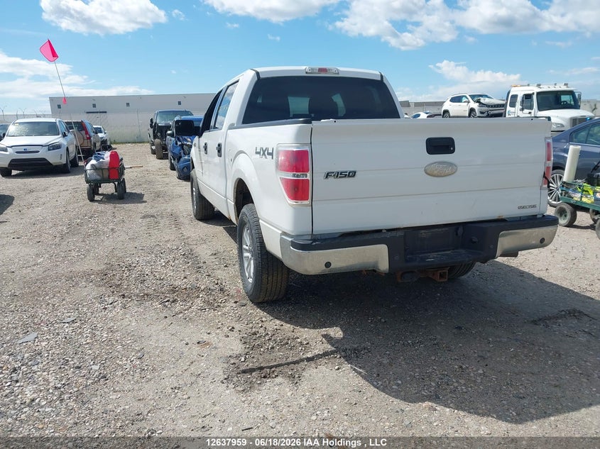 2012 Ford F-150 Fx4/King Ranch/Lariat/Platinum/Xlt VIN: 1FTFW1EFXCFB46533 Lot: 12637959