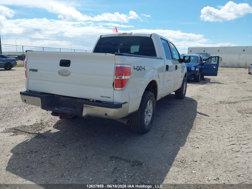 2012 Ford F-150 Fx4/King Ranch/Lariat/Platinum/Xlt VIN: 1FTFW1EFXCFB46533 Lot: 12637959