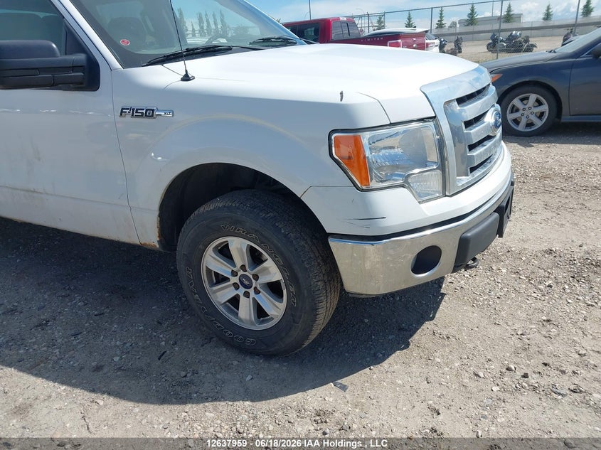 2012 Ford F-150 Fx4/King Ranch/Lariat/Platinum/Xlt VIN: 1FTFW1EFXCFB46533 Lot: 12637959