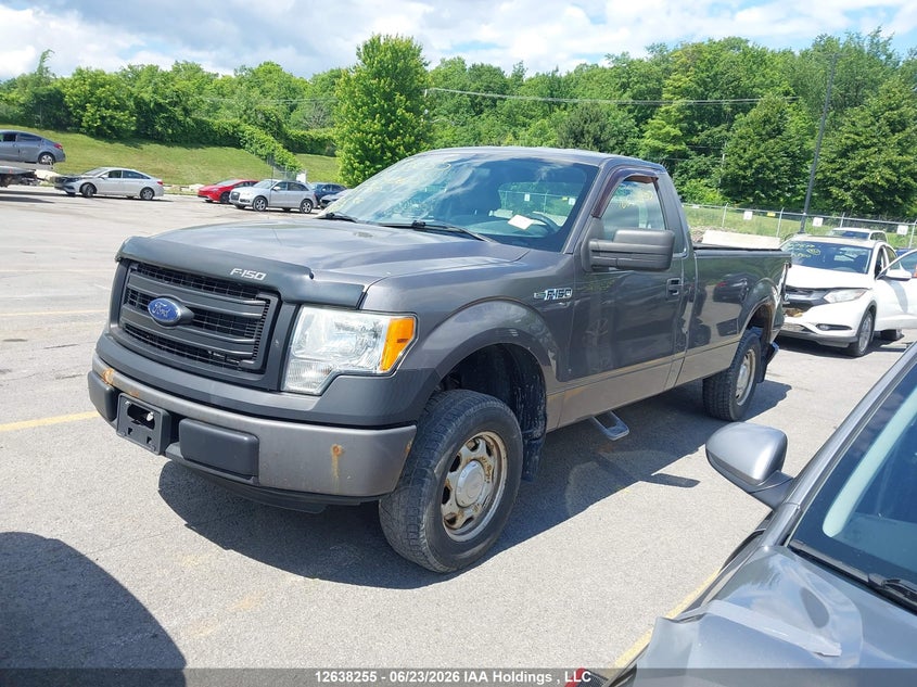 2013 Ford F-150, Лівий зад, IAAI, VIN 1FTMF1CM9DKE64063 — фото 2