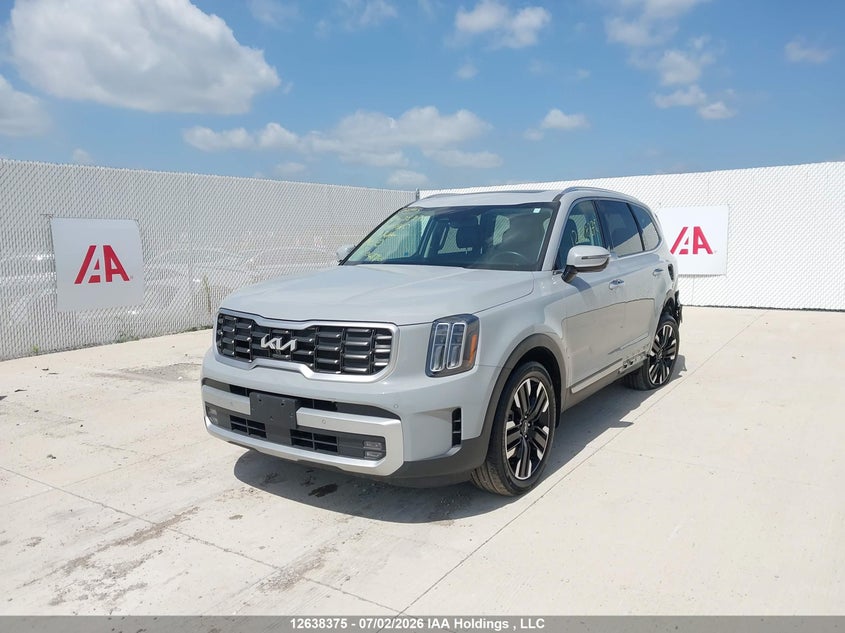 2024 Kia Telluride Sx/Sx X-Line/Sx X-Pro/Sx Prestige/Sx Prest X-Ln/Sx Prest X-Pro, Left Rear, IAAI, VIN 5XYP5DGC1RG448410 — photo 2