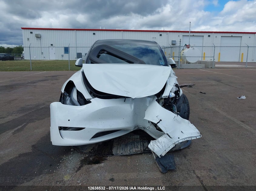 2022 Tesla Model Y VIN: 7SAYGDEE3NF534065 Lot: 12638532