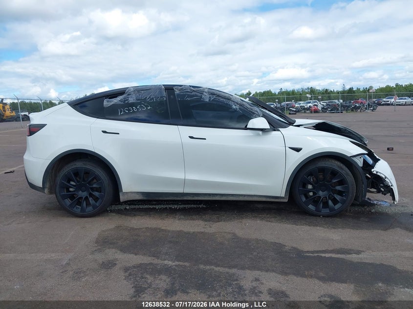 2022 Tesla Model Y VIN: 7SAYGDEE3NF534065 Lot: 12638532