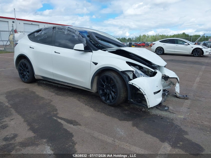 2022 Tesla Model Y VIN: 7SAYGDEE3NF534065 Lot: 12638532