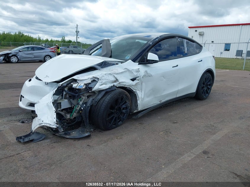 2022 Tesla Model Y VIN: 7SAYGDEE3NF534065 Lot: 12638532