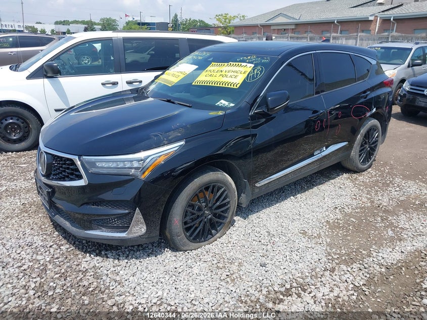2019 Acura Rdx Elite, Удар сзади, IAAI, VIN 5J8TC2H71KL804246 — фото 2