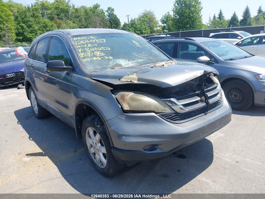 Vin: 5j6re4h31al804252, lot: 3041248, honda cr-v lx 2010 img_1