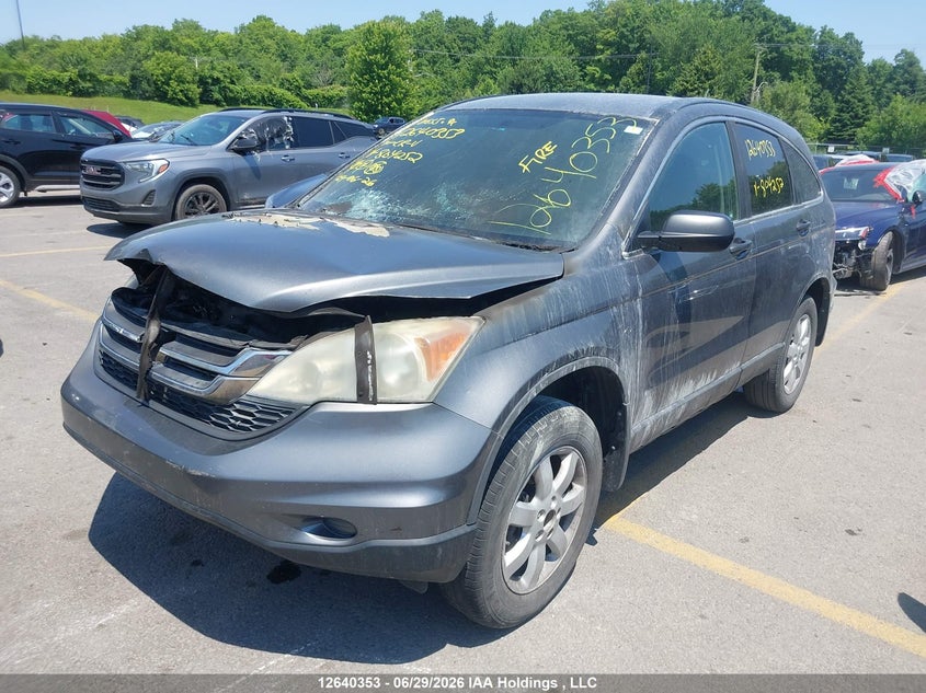 Vin: 5j6re4h31al804252, lot: 3041248, honda cr-v lx 20102