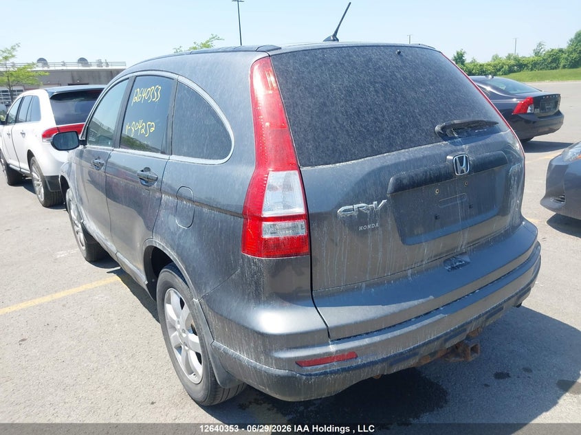 Vin: 5j6re4h31al804252, lot: 3041248, honda cr-v lx 20103