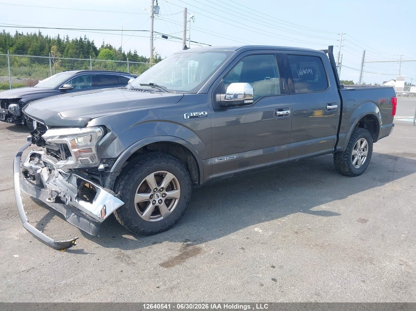 2019 Ford F-150, Удар спереду, IAAI, VIN 1FTFW1E1XKFC20732 — фото 2