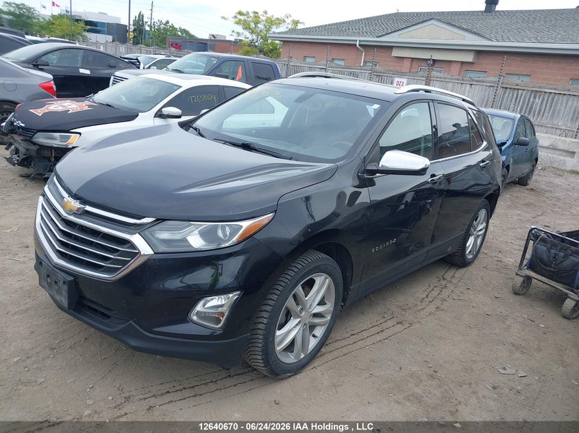 2019 Chevrolet Equinox, Удар ззаду, IAAI, VIN 2GNAXYEX5K6199701 — фото 2