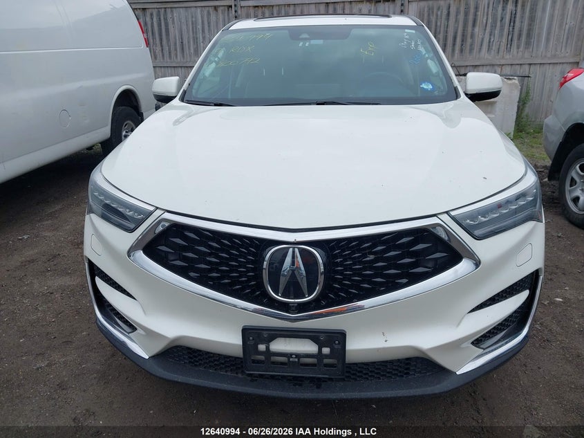 2019 Acura Rdx Platinum Elite VIN: 5J8TC2H96KL800792 Lot: 12640994