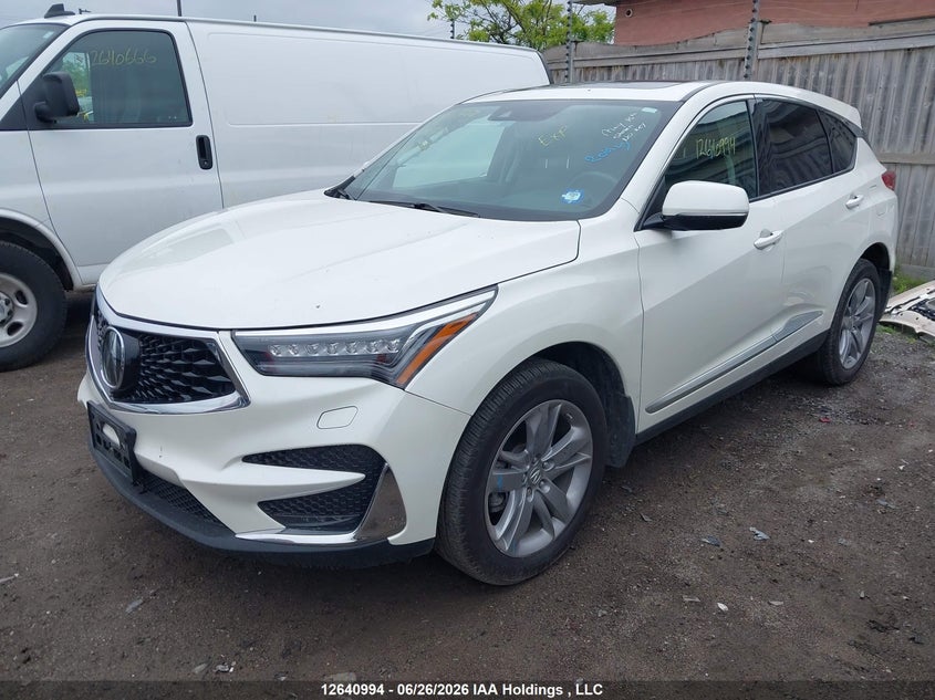 2019 Acura Rdx Platinum Elite VIN: 5J8TC2H96KL800792 Lot: 12640994