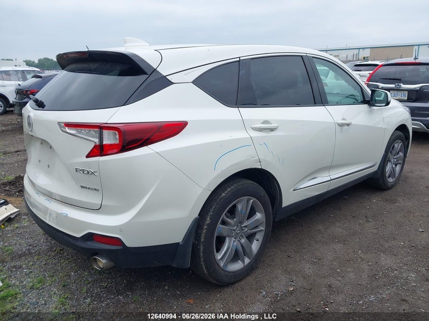 2019 Acura Rdx Platinum Elite VIN: 5J8TC2H96KL800792 Lot: 12640994