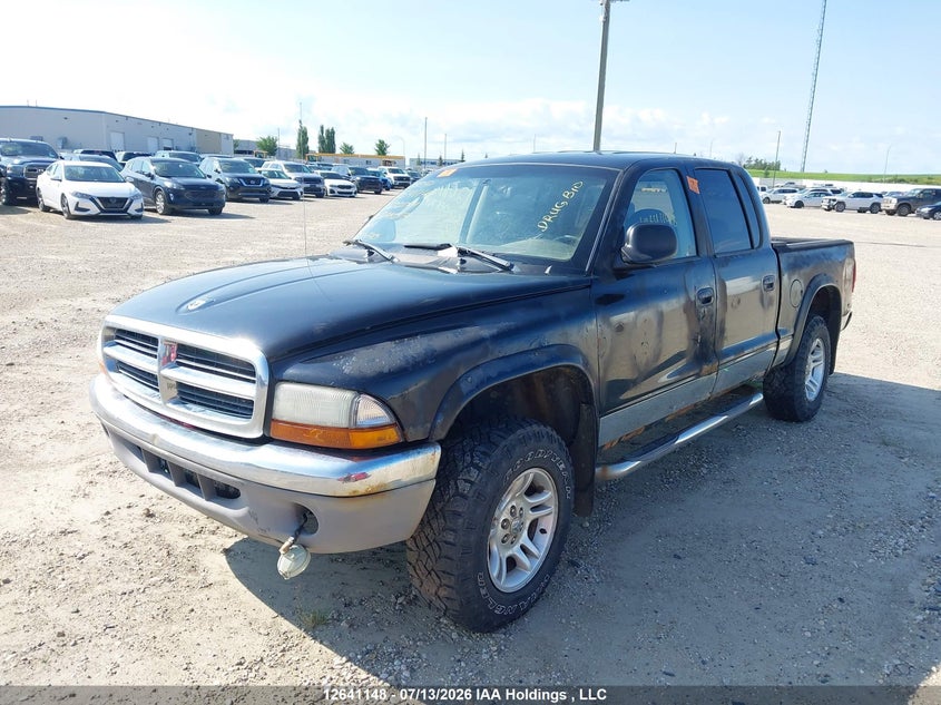 2004 Dodge Dakota, Biohazard, IAAI, VIN 1D7HG48NX4S622014 — photo 2