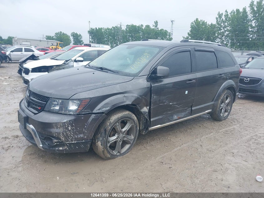 2017 Dodge Journey, Левый бок, IAAI, VIN 3C4PDCGG6HT538076 — фото 2