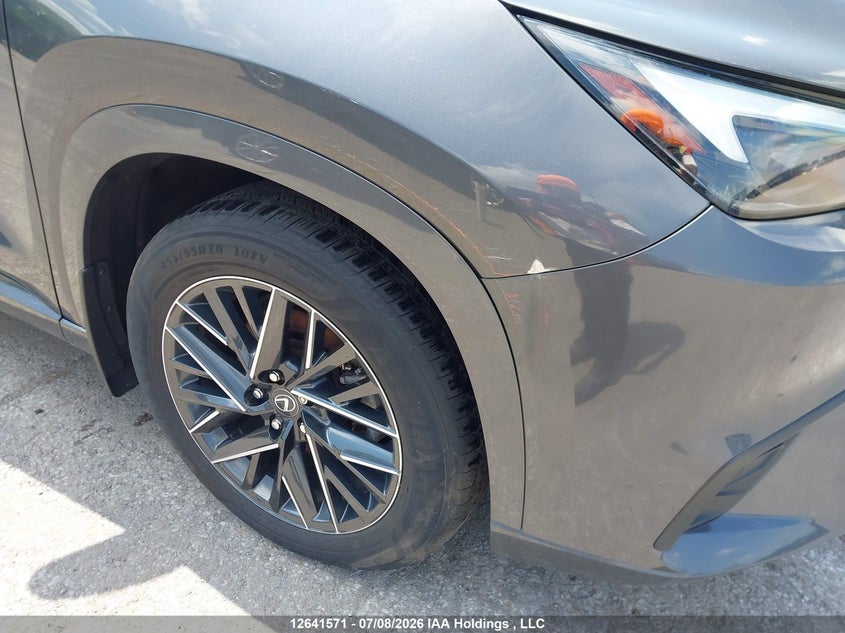2024 Lexus Tx350 VIN: 5TDAAAB60RS008893 Lot: 12641571