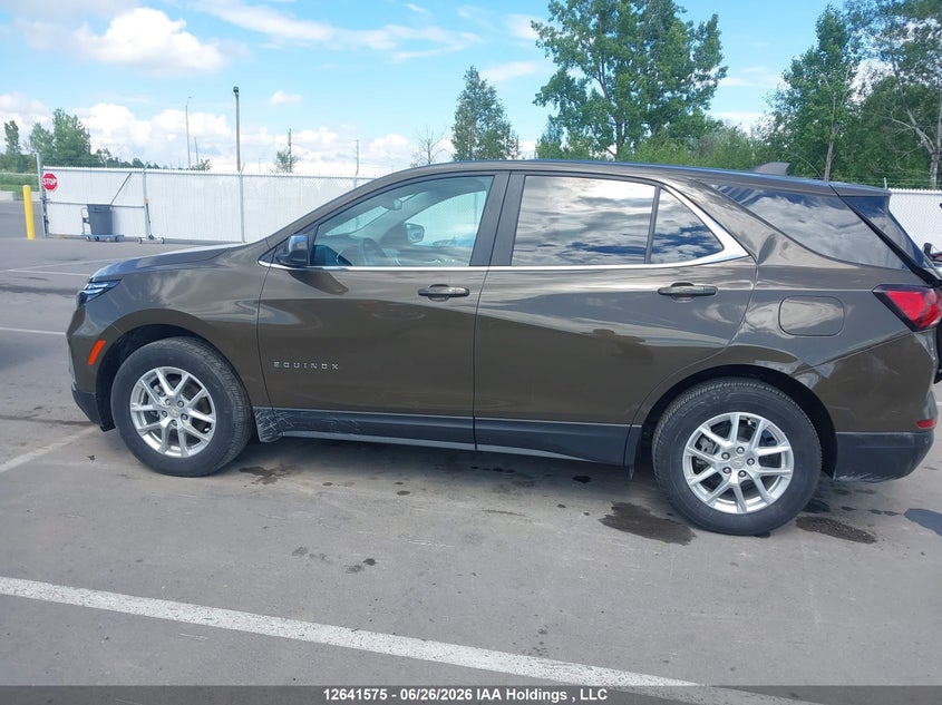 2024 Chevrolet Equinox VIN: 3GNAXUEG5RL119313 Lot: 12641575