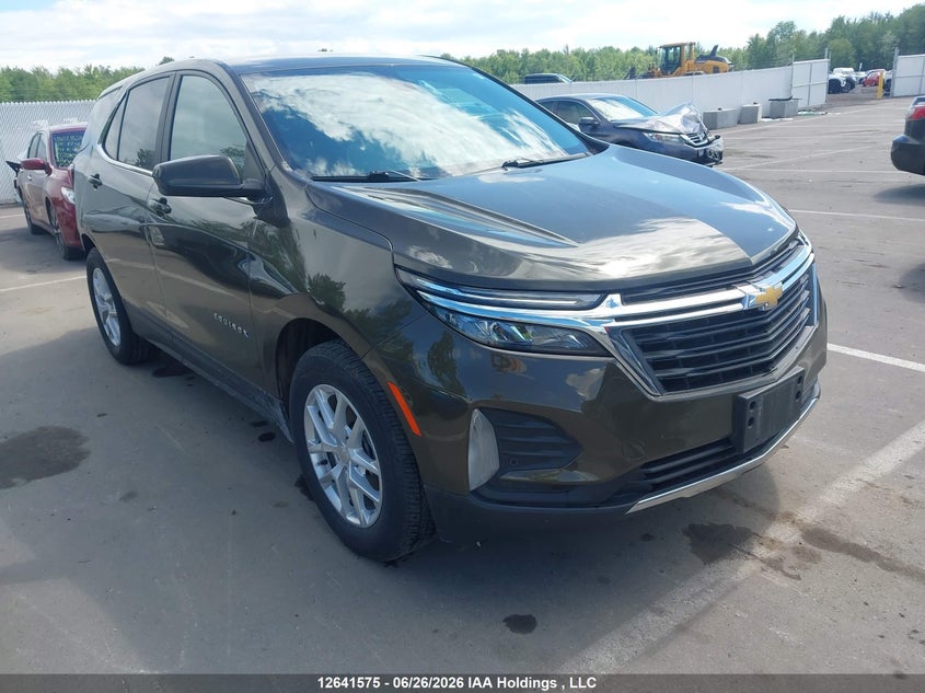 2024 Chevrolet Equinox VIN: 3GNAXUEG5RL119313 Lot: 12641575