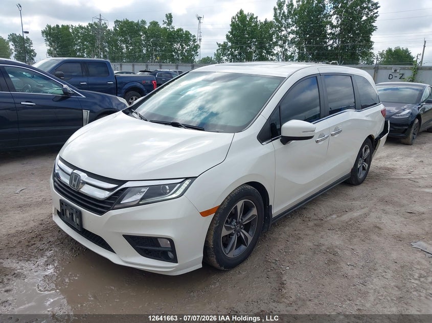 2018 Honda Odyssey, Удар ззаду, IAAI, VIN 5FNRL6H42JB506845 — фото 2