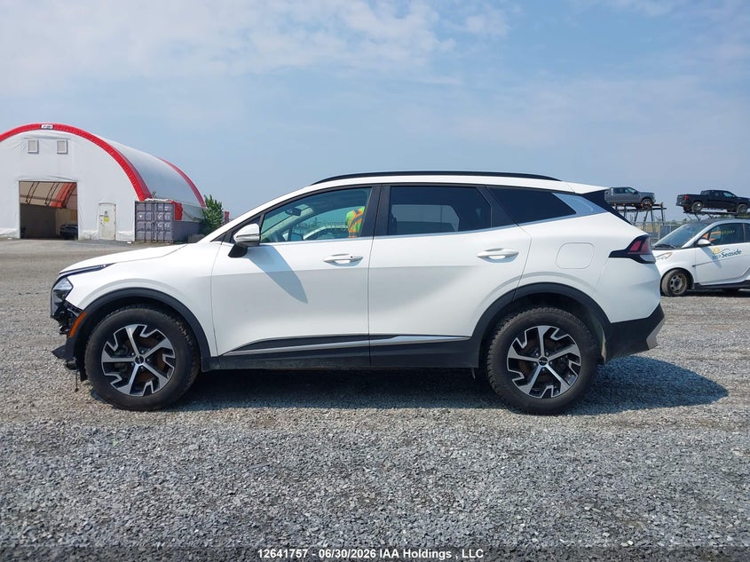2024 Kia Sportage Ex/Ex Premium W/Black Interior/Ex Premium W/Red Interior VIN: KNDPVCDF6R7297182 Lot: 12641757